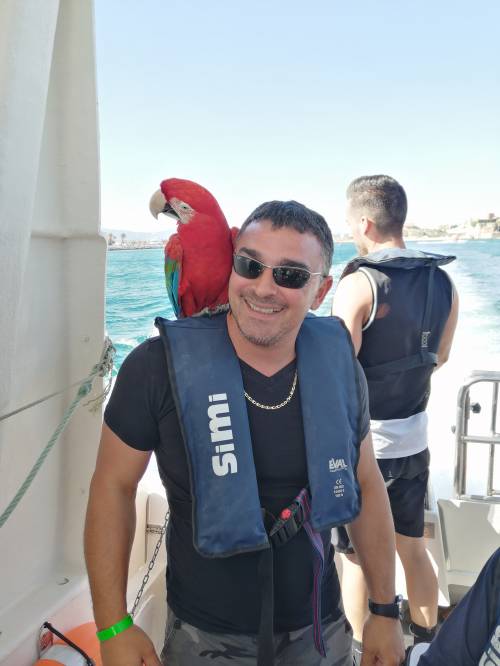 Avatar de Cédric P.