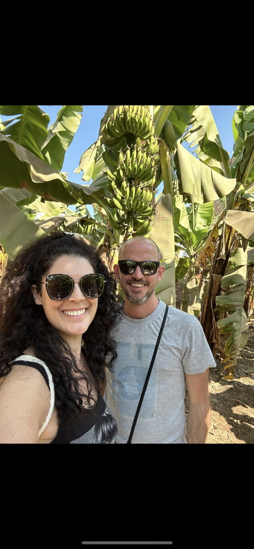 Avatar de Olivier S.