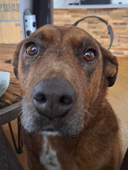 Avatar de VINCENT L.